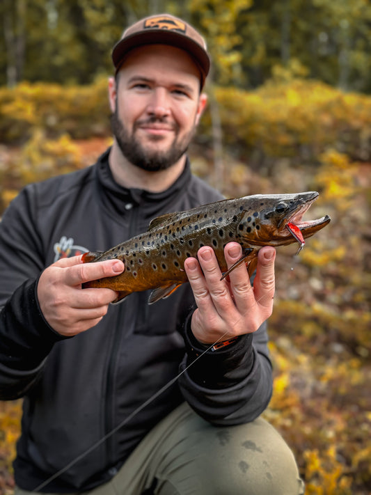Norolan Top Forellenköder – 5er-Pack