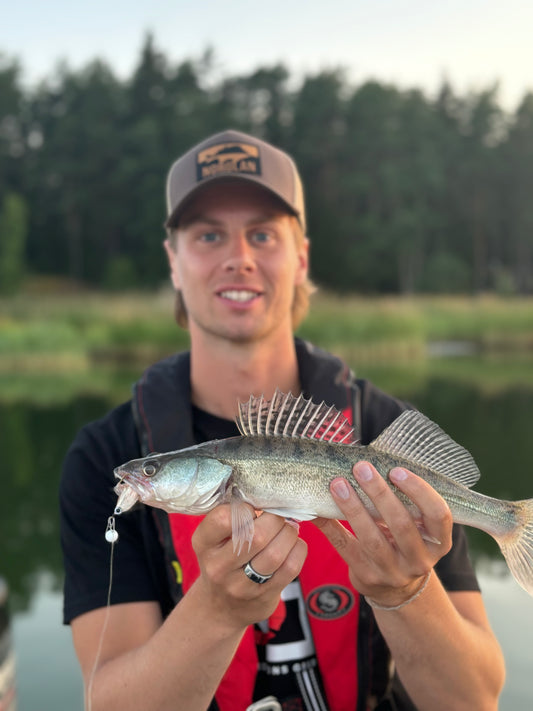 Der Norolan Rebel Rocker