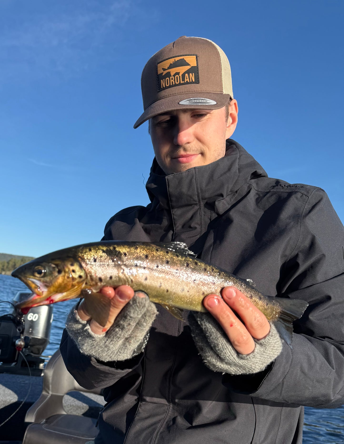 Norolan Top Forellenköder – 5er-Pack