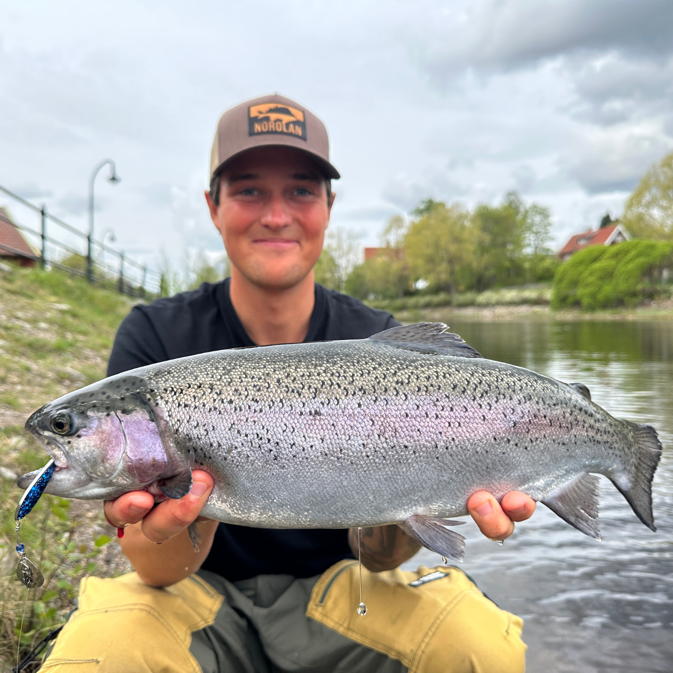 Norolan Top Regenbogenforellen-Köder – 5er-Pack