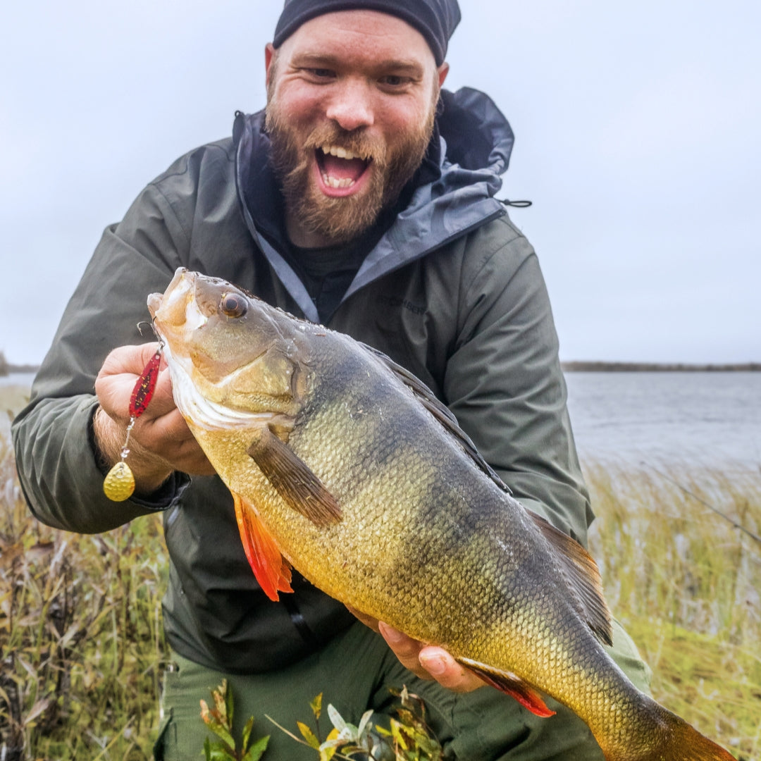 Norolan Top Barschköder – 5er-Pack