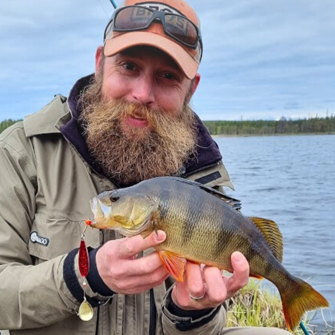 Der Norolan Disco Dancer