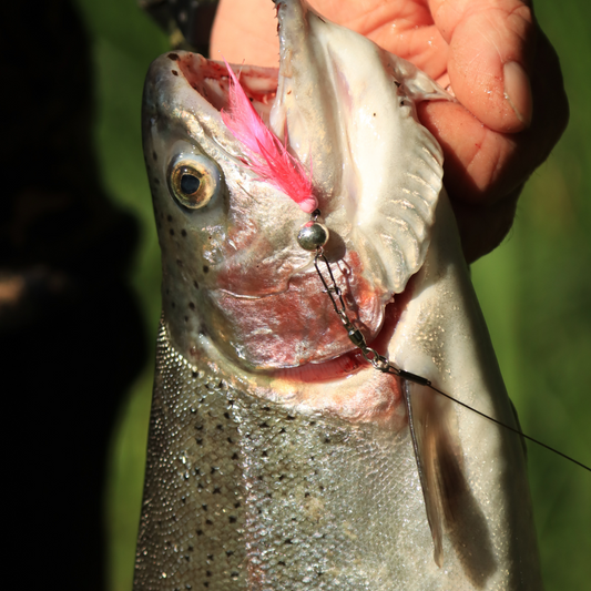 Der Norolan Rizz Rocker