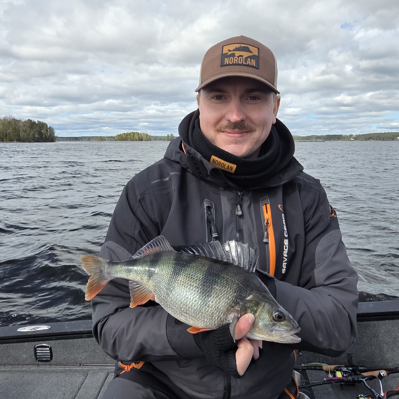 Norolans Top Krautkiller 5er‑Set