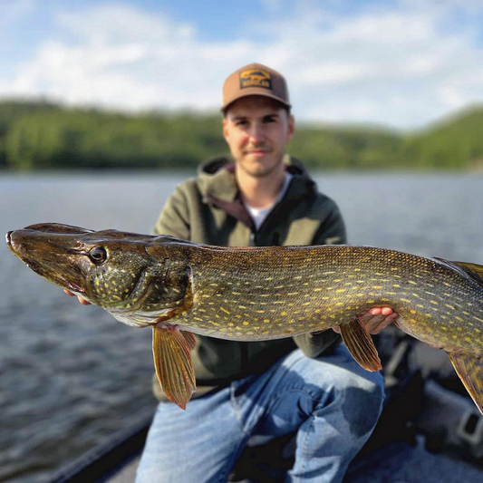Norolan Top Hechtköder – 5er-Pack
