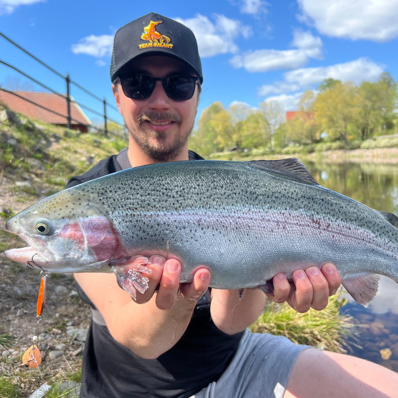 Norolan Top Regenbogenforellen-Köder – 5er-Pack