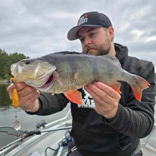 Norolan Top Barschköder – 5er-Pack