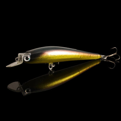 Der Norolan Storyteller Minnow