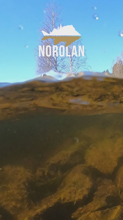 Der Norolan Belly Dancer